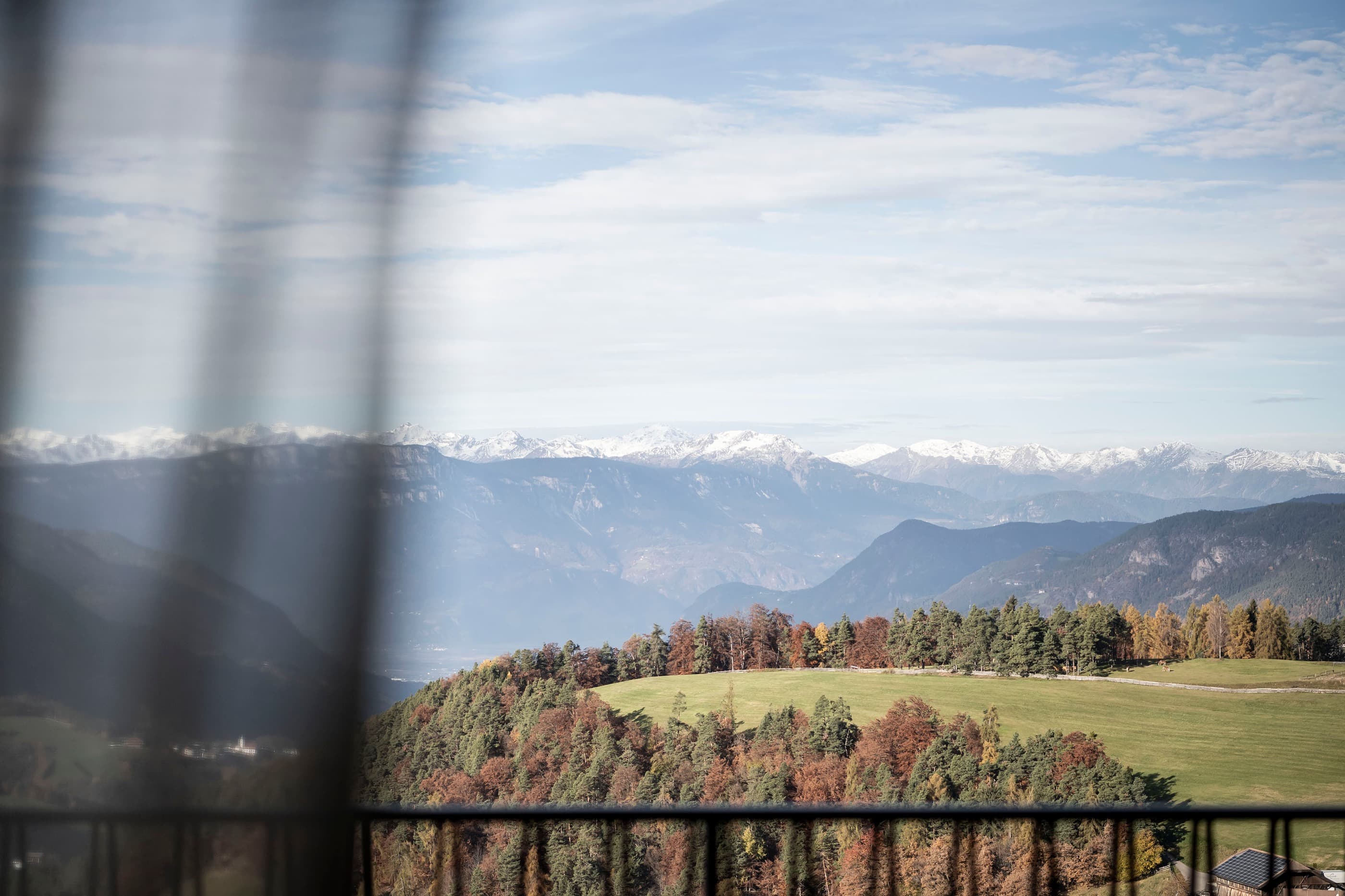 Gfell Suite - Bild 1